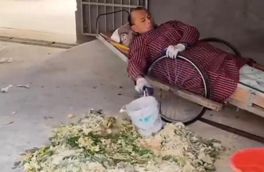 男子患病躺板车30年靠养鹅养活自己