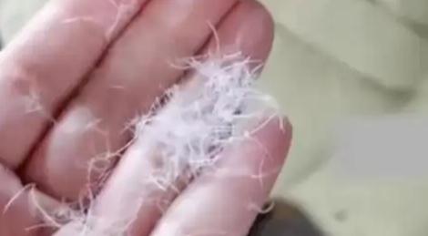 女子300多买羽绒马甲剪开全是飞丝