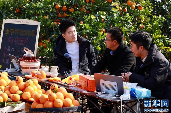 董宇辉2小时卖300万斤脐橙