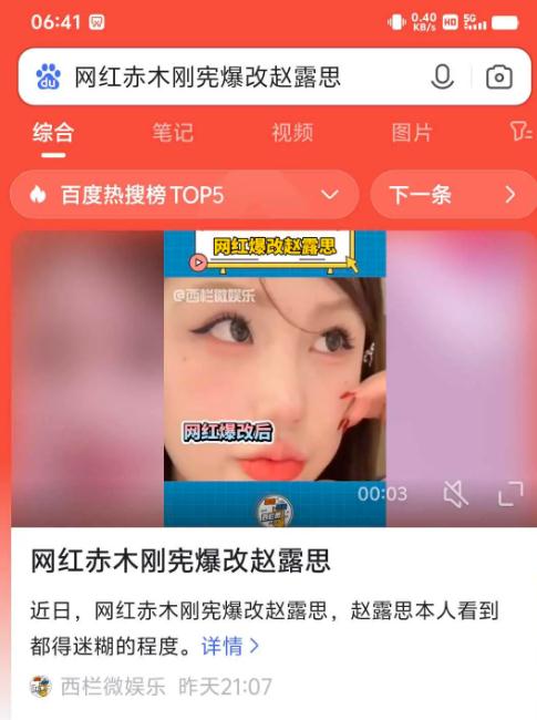 网红赤木刚宪爆改赵露思