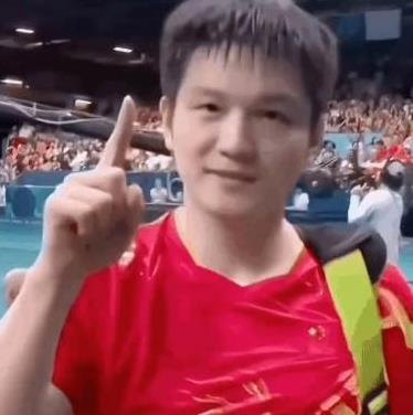 是什么逼走了樊振东