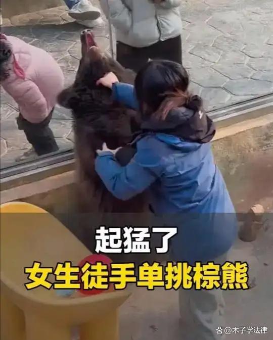 女饲养员徒手将熊按在玻璃上锁喉