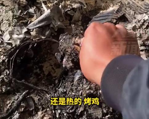 男子给小鸡安装保温灯后把鸡烤糊