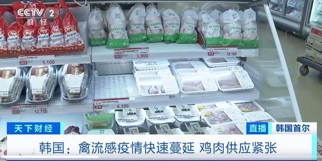 禽流感蔓延韩国炸鸡店炸鸡缺货