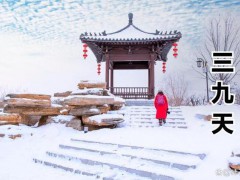 腊月十三不见雪，来年农夫卖老婆：瑞雪兆丰年的警示！