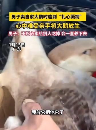 男子卖大鹅遭&ldquo;扎心凝视&rdquo;后放生