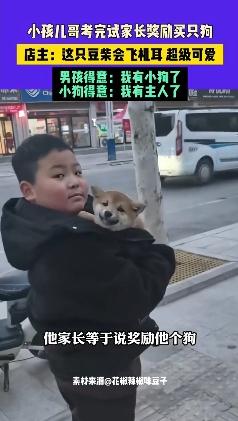 小孩哥考完试妈妈奖励买狗