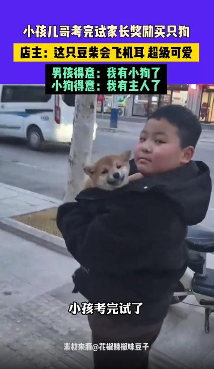 小孩哥考完试妈妈奖励买狗
