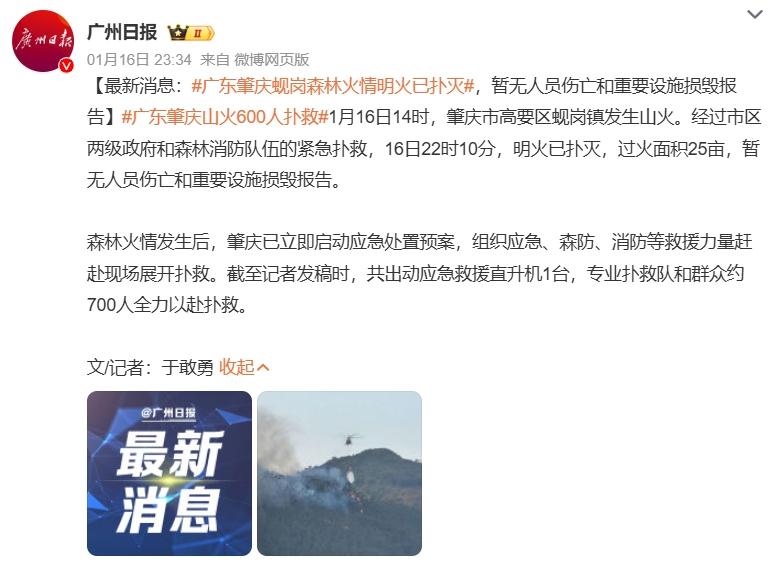 广东肇庆山火600人扑救