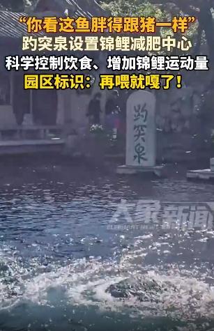 趵突泉标牌写着再喂就嘎了