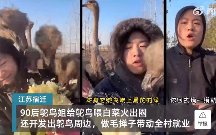女子和丈夫养100只鸵鸟做鸵鸟吃播