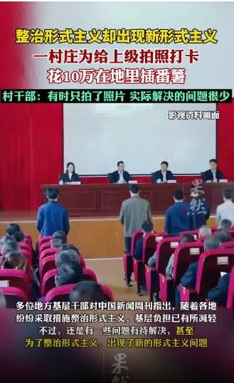 为给上级拍照打卡 花10万假装种番薯