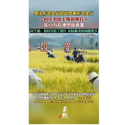 为给上级拍照打卡 花10万假装种番薯