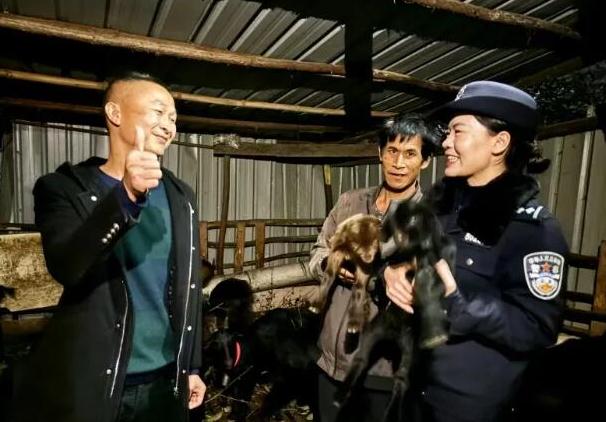 村民16只羊走丢6天被无人机找回18只