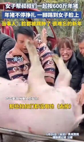 女子帮忙按600斤年猪脸被踢肿