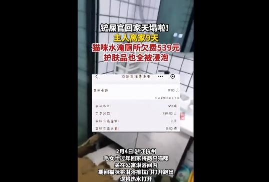 主人离家9天猫咪水淹厕所欠费539 