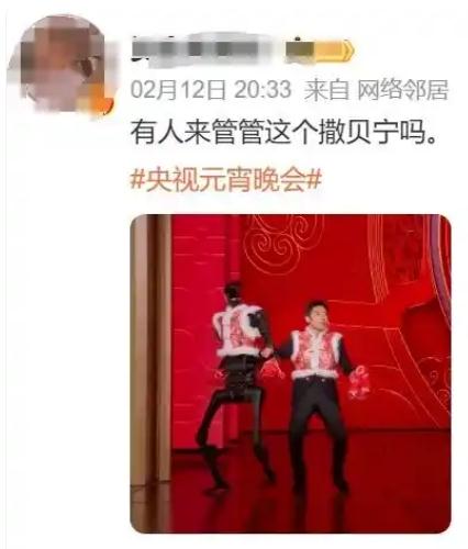 撒贝宁和机器人一出场 梦回白云黑土