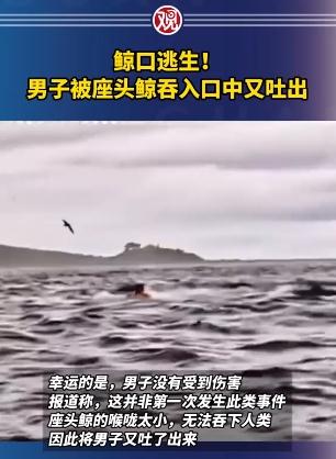 男子划船时被座头鲸吞下后吐出视频曝光