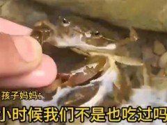 男童生吃蟹腿寄生虫钻进心脏 男童母亲说了什么？