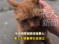 男子时隔6年回老家发现老猫还在守家 想带它离开它却不肯出院门！（图）