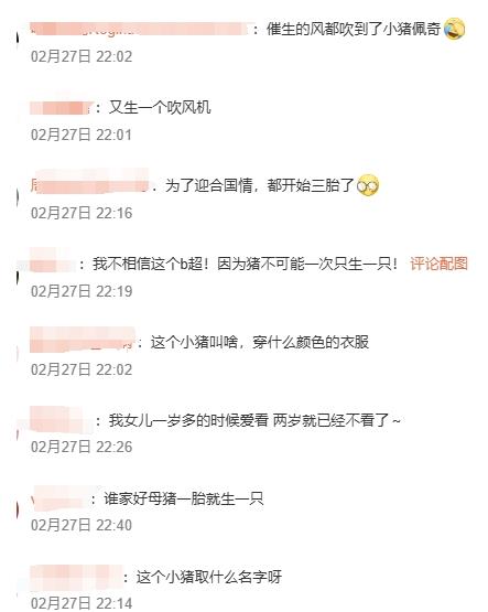 《小猪佩奇》猪妈妈宣布怀三胎