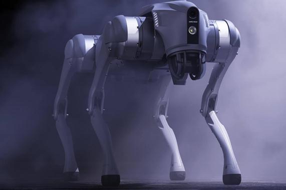 宇树科技王兴兴:这个世界太卷了