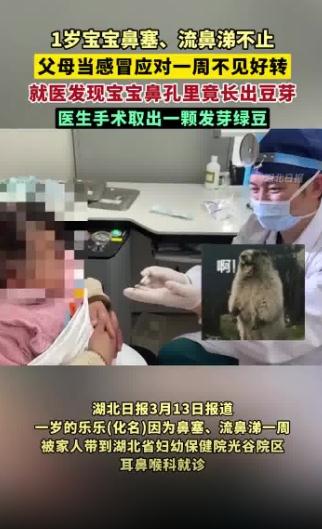 1岁宝宝鼻孔里长出豆芽