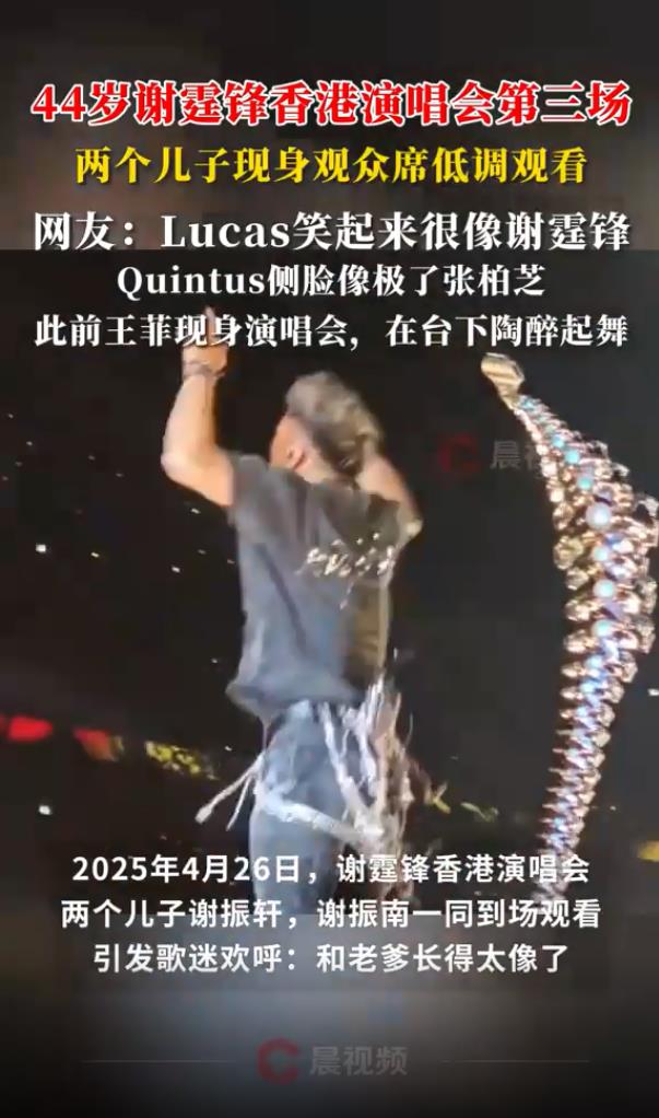 谢霆锋儿子现身演唱会