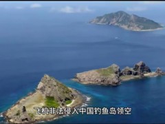 中国驻日本大使向日方提出严正交涉 中方说了什么？