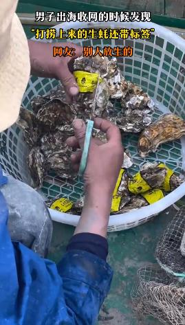男子出海打捞上来的生蚝带商品标签 