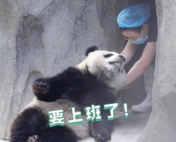 再上19天班又放假了