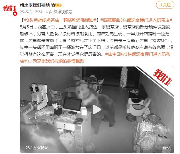 三头熊夜闯奶茶店 扛出一桶油喝光
