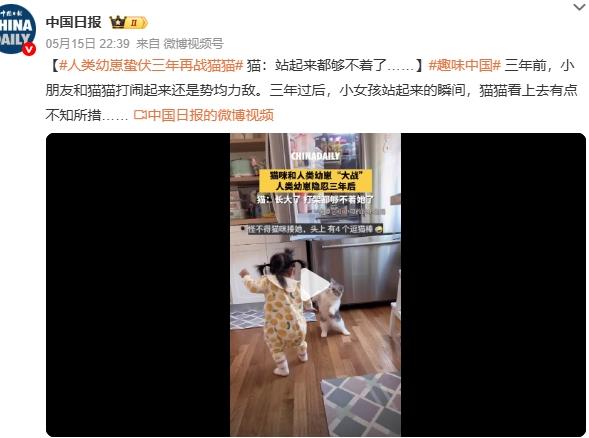 人类幼崽蛰伏三年再战猫猫