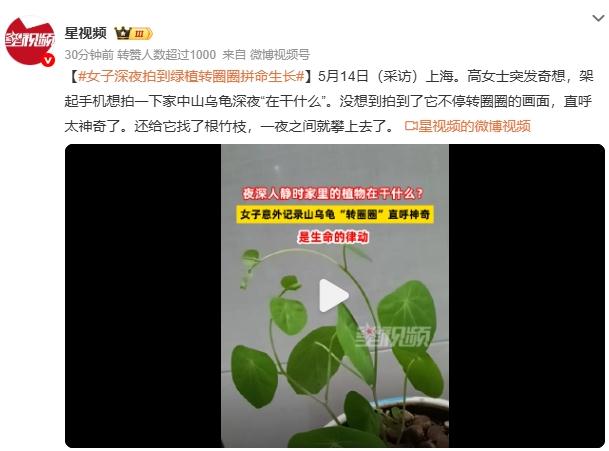 女子深夜拍到绿植转圈圈拼命生长