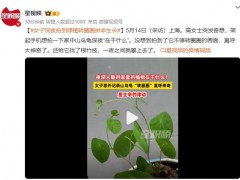 女子深夜拍到绿植转圈圈拼命生长 直呼太神奇了！