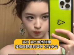 黄杨钿甜同款耳环仿款售价不到百元 同款耳环仿款在2024年即有网店出售！