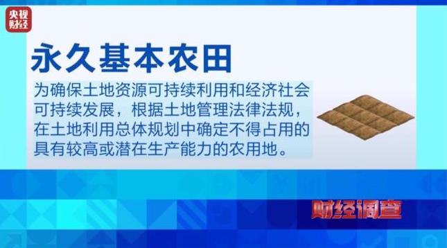 央视曝光永久基本农田竟沦为垃圾场