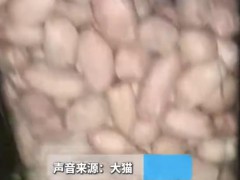 女子把发霉花生做成奶喝后中毒抽搐 女子说了什么内容？