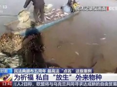 女子为祈福放生2.5万斤外来鲇鱼 历时10天累计打捞出死亡鲇鱼20208斤！