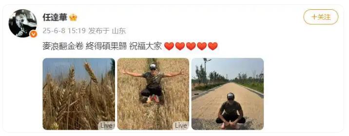 任达华回山东老家收麦子