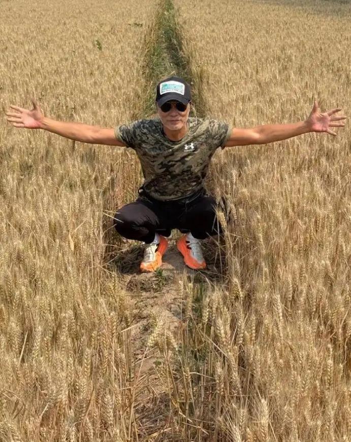 任达华回山东老家收麦子