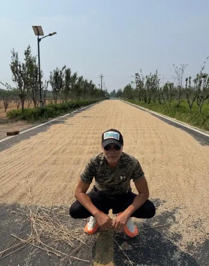 任达华回山东老家收麦子