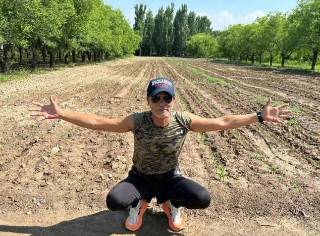 任达华在山东老家收完麦子又种玉米