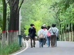 撒贝宁一家游敦煌莫高窟 现场画面曝光！