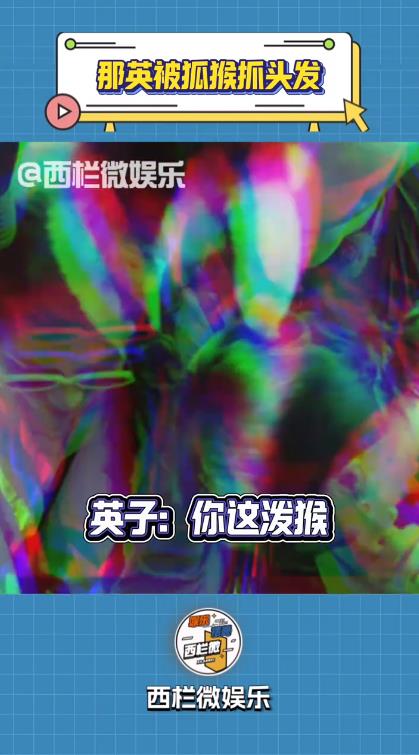 那英被猴子薅了头发