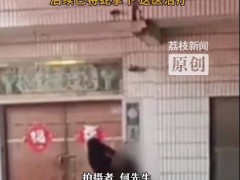 女子表演与蟒蛇亲嘴 未张嘴就遭攻击 拍摄者说了什么内容？