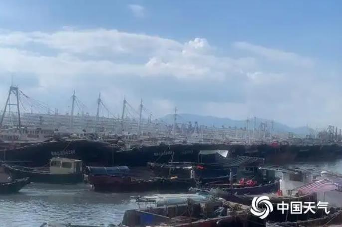 台风麦德姆登陆广东 最大风力14级