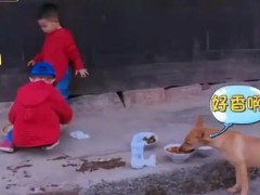 《爸爸去哪儿4》9年未解之谜破案了 沙溢说了什么内容？