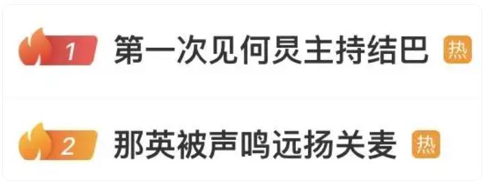 那英质疑票数作假 何炅差点没救回场