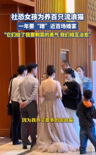 女孩为养流浪猫一年&ldquo;蹭&rdquo;百场婚宴